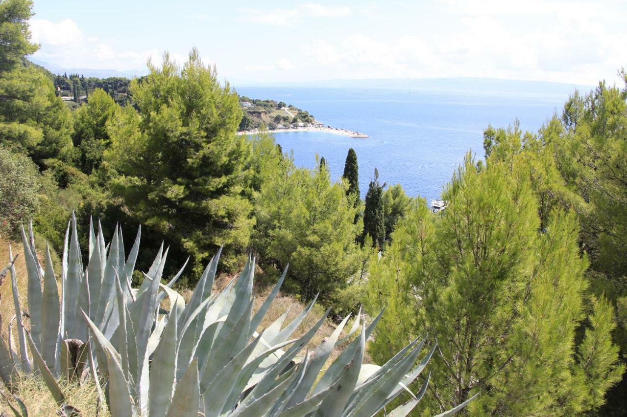 Beach Hotel Split Ποντστράνα Εξωτερικό φωτογραφία